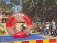 WhatsApp Image 2026-02-14 at 14.27.06